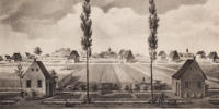 kaashoekgenealogie.nl
