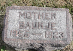 kaashoekgenealogie.nl