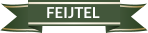 FEIJTEL