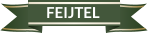 FEIJTEL