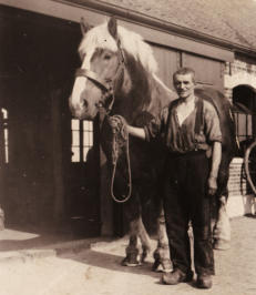 kaashoekgenealogie.nl